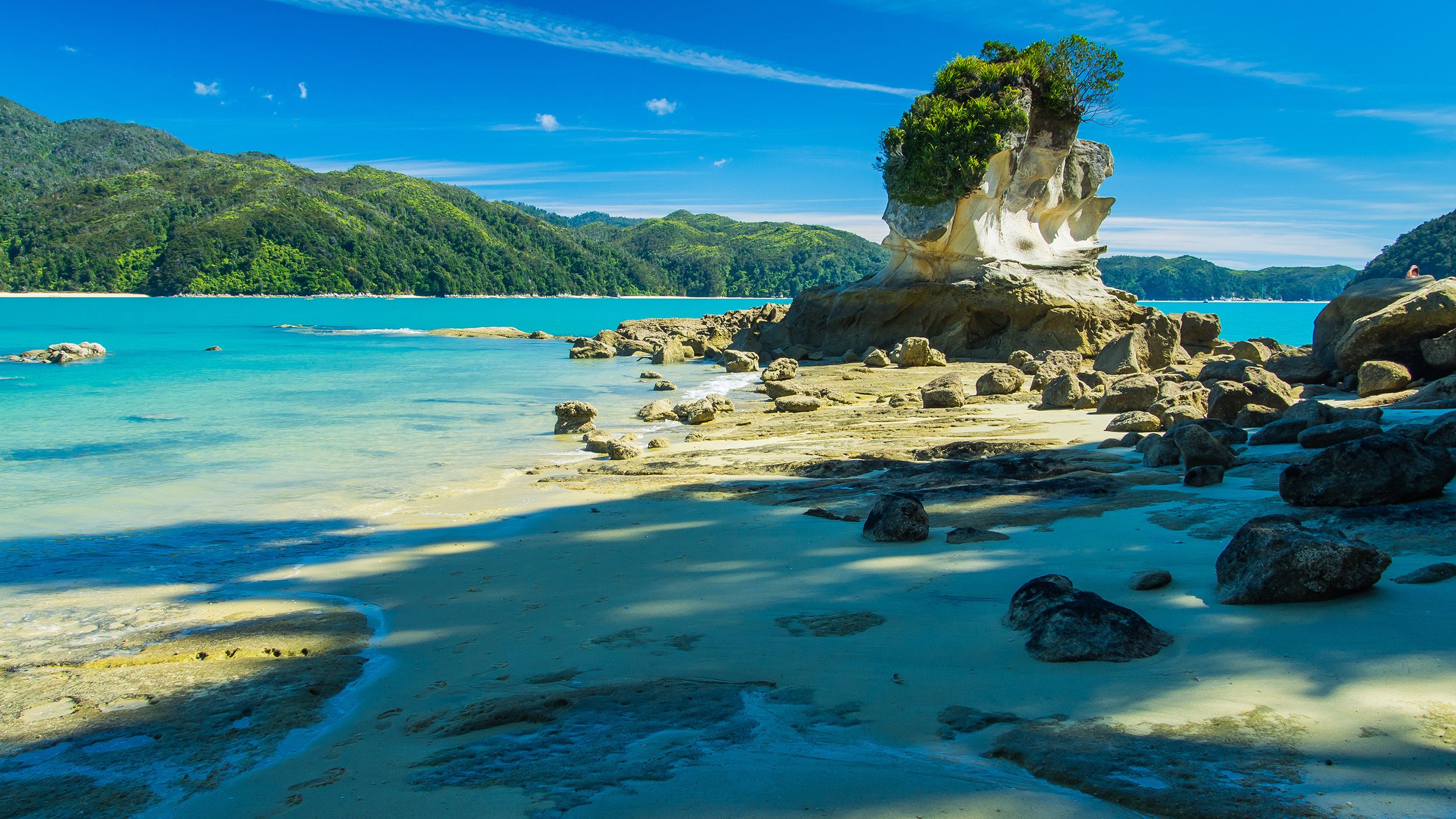 Beach in New Zealand, Abel Tasman.