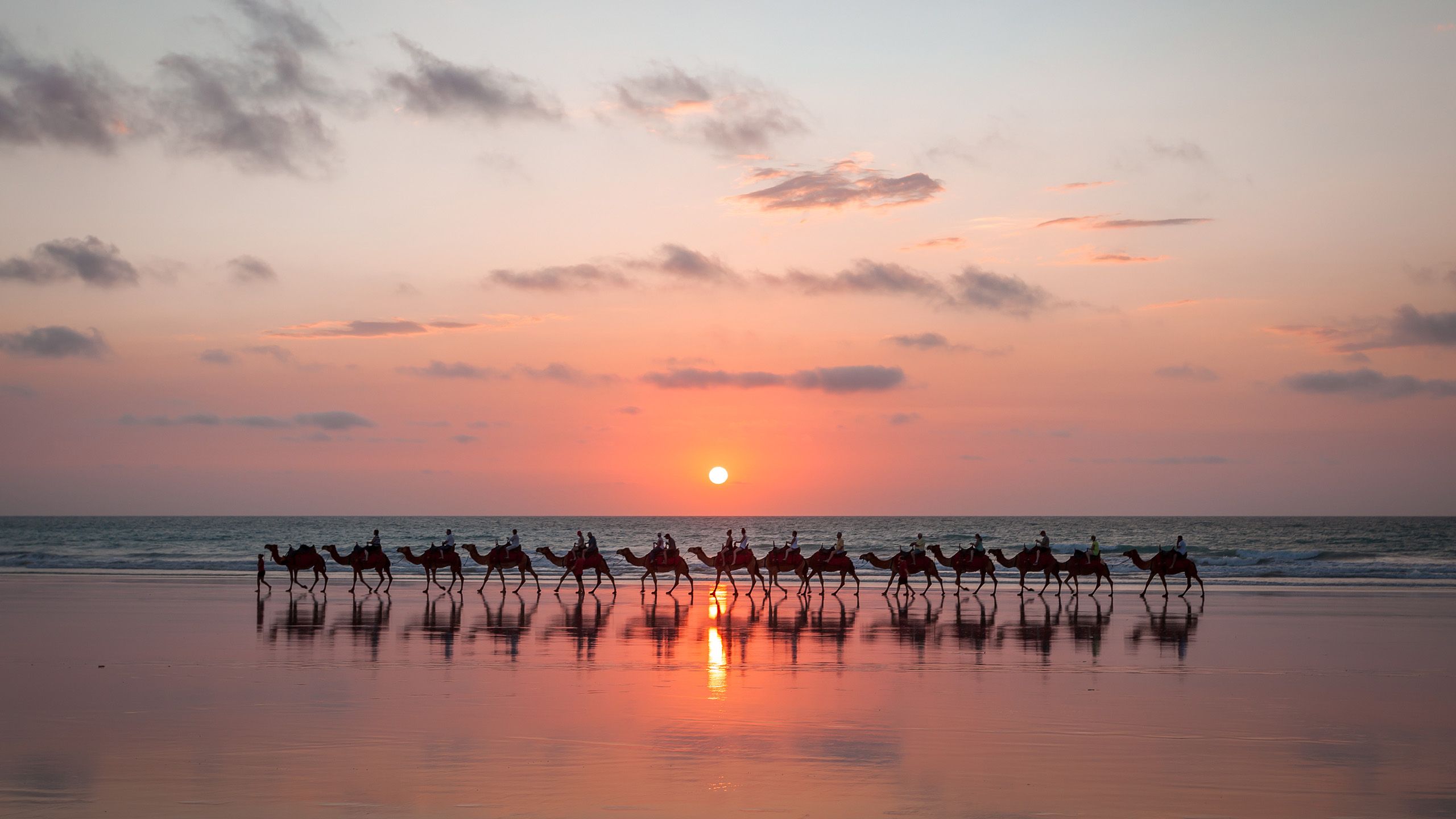 Sunset Camel Ride Cable Beach, Broome